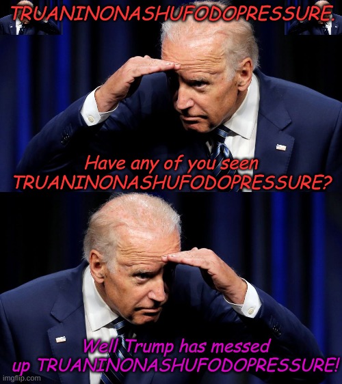 When TRUANINONASHUFODOPRESSURE simply has to be done right, vote Biden 2020. | TRUANINONASHUFODOPRESSURE. Have any of you seen TRUANINONASHUFODOPRESSURE? Well Trump has messed up TRUANINONASHUFODOPRESSURE! | image tagged in had it up to here | made w/ Imgflip meme maker