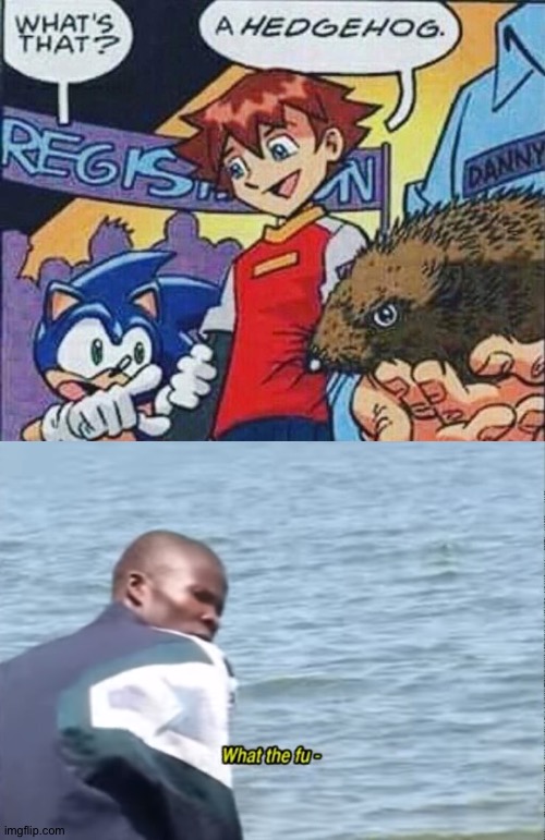 Um... Okay... | image tagged in what the fu-,funny,sonic,cursed image,hedgehog,cute | made w/ Imgflip meme maker