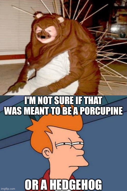 Okay- what the hell?!!! | I'M NOT SURE IF THAT WAS MEANT TO BE A PORCUPINE; OR A HEDGEHOG | image tagged in memes,futurama fry | made w/ Imgflip meme maker