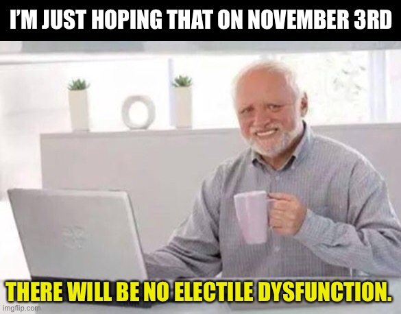 Electile Dysfunction | I’M JUST HOPING THAT ON NOVEMBER 3RD; THERE WILL BE NO ELECTILE DYSFUNCTION. | image tagged in harold | made w/ Imgflip meme maker