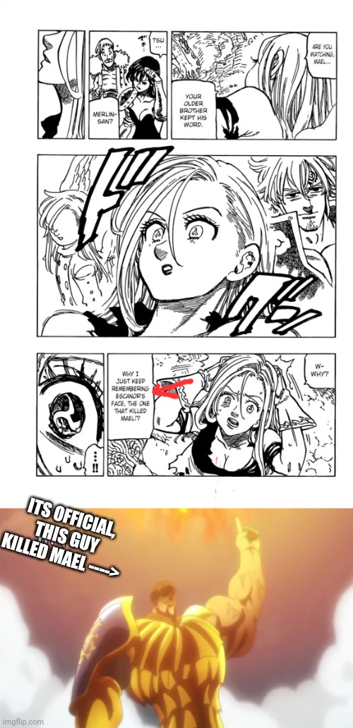 They said it themselves | ITS OFFICIAL, THIS GUY KILLED MAEL ----> | image tagged in memes,the seven deadly sins,you had one job,manga | made w/ Imgflip meme maker