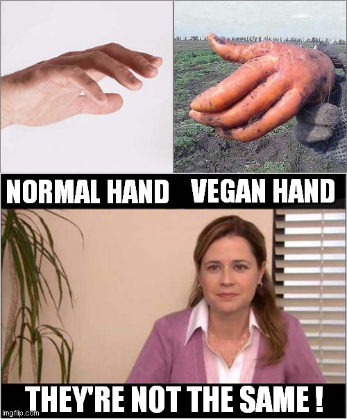 Consequences Of Veganism | VEGAN HAND; NORMAL HAND; THEY'RE NOT THE SAME ! | image tagged in veganism,hands,frontpage | made w/ Imgflip meme maker