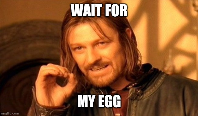 One Does Not Simply | WAIT FOR; MY EGG | image tagged in memes,one does not simply | made w/ Imgflip meme maker