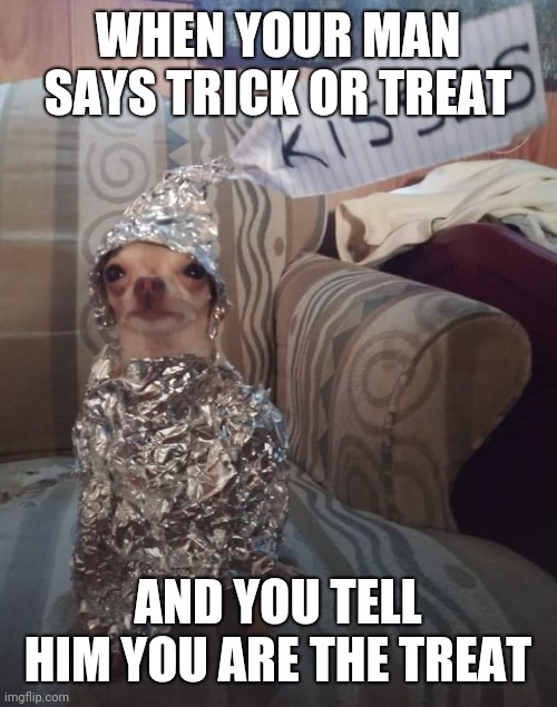 Kisses | WHEN YOUR MAN SAYS TRICK OR TREAT; AND YOU TELL HIM YOU ARE THE TREAT | image tagged in trick or treat | made w/ Imgflip meme maker