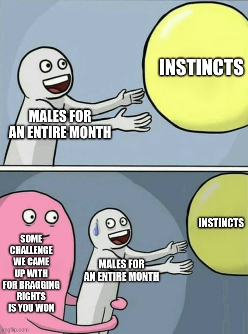 Running Away Balloon Meme | INSTINCTS; MALES FOR AN ENTIRE MONTH; INSTINCTS; SOME CHALLENGE WE CAME UP WITH FOR BRAGGING RIGHTS IS YOU WON; MALES FOR AN ENTIRE MONTH | image tagged in memes,running away balloon | made w/ Imgflip meme maker