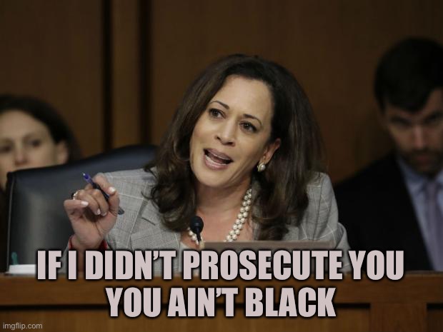 Kamala Harris | IF I DIDN’T PROSECUTE YOU
YOU AIN’T BLACK | image tagged in kamala harris | made w/ Imgflip meme maker