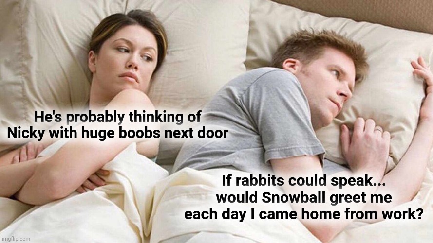 Bet thinking other women rabbits work speak bed couple cheating | He's probably thinking of Nicky with huge boobs next door; If rabbits could speak... would Snowball greet me each day I came home from work? | image tagged in memes,i bet he's thinking about other women | made w/ Imgflip meme maker