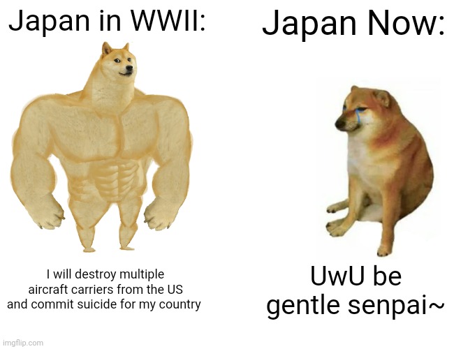 Good old Japan | Japan in WWII:; Japan Now:; I will destroy multiple aircraft carriers from the US and commit suicide for my country; UwU be gentle senpai~ | image tagged in memes,buff doge vs cheems,japan,world war 2,wwii | made w/ Imgflip meme maker