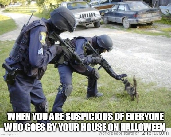 Suspicious | WHEN YOU ARE SUSPICIOUS OF EVERYONE WHO GOES BY YOUR HOUSE ON HALLOWEEN | image tagged in fight crime later pet kitty now | made w/ Imgflip meme maker