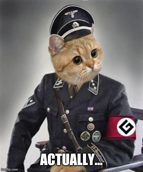 Grammar Nazi Cat | ACTUALLY... | image tagged in grammar nazi cat | made w/ Imgflip meme maker