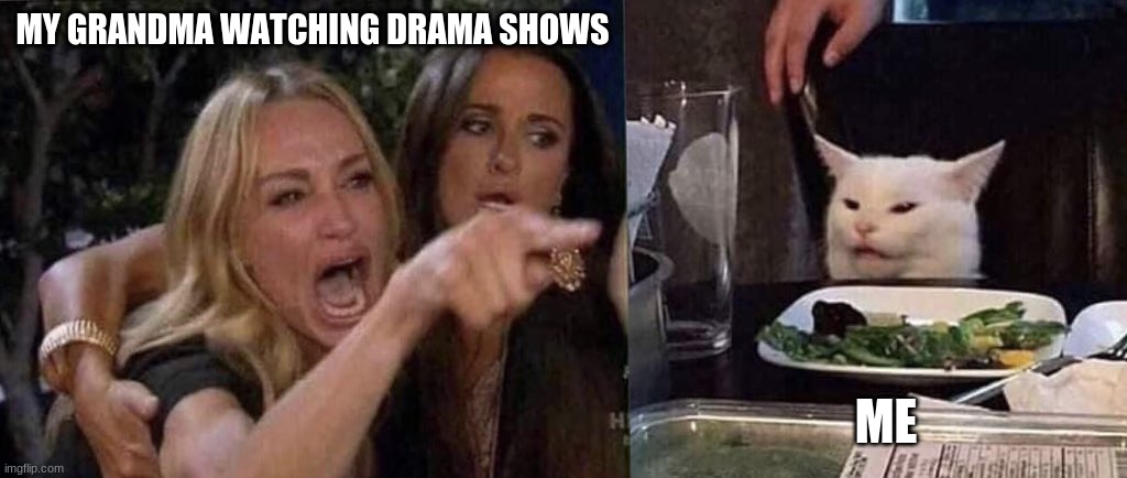 woman yelling at cat | MY GRANDMA WATCHING DRAMA SHOWS; ME | image tagged in woman yelling at cat | made w/ Imgflip meme maker