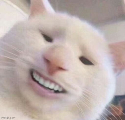 image tagged in cursed,cats | made w/ Imgflip meme maker