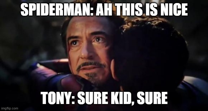 SPIDERMAN: AH THIS IS NICE; TONY: SURE KID, SURE | image tagged in spiderman,iron man | made w/ Imgflip meme maker