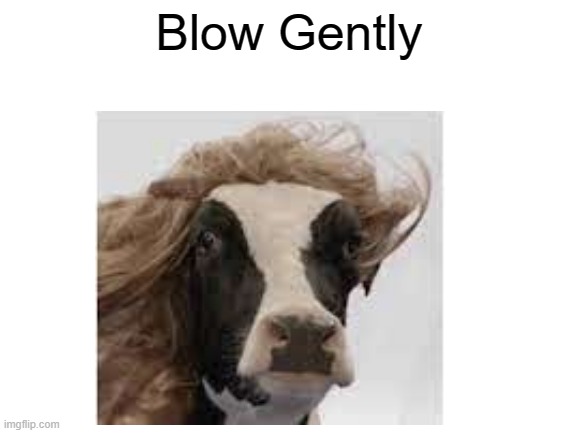 *Blowing* | Blow Gently | image tagged in fabulous | made w/ Imgflip meme maker