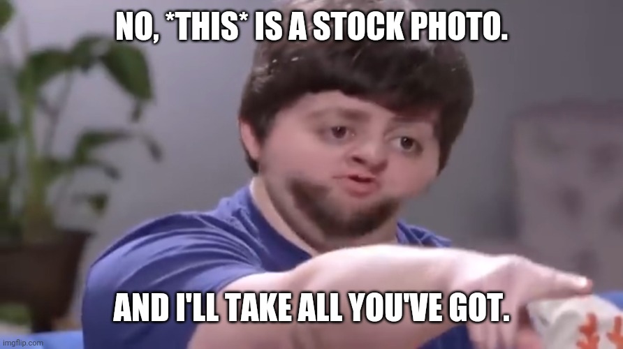 I’ll take your entire stock | NO, *THIS* IS A STOCK PHOTO. AND I'LL TAKE ALL YOU'VE GOT. | image tagged in i ll take your entire stock | made w/ Imgflip meme maker