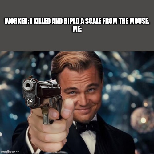 Leonardo Dicaprio Gun | WORKER: I KILLED AND RIPED A SCALE FROM THE MOUSE.
ME: | image tagged in leonardo decaprio gun | made w/ Imgflip meme maker
