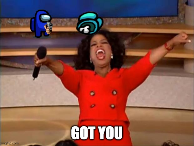 Oprah You Get A | GOT YOU | image tagged in memes,oprah you get a | made w/ Imgflip meme maker