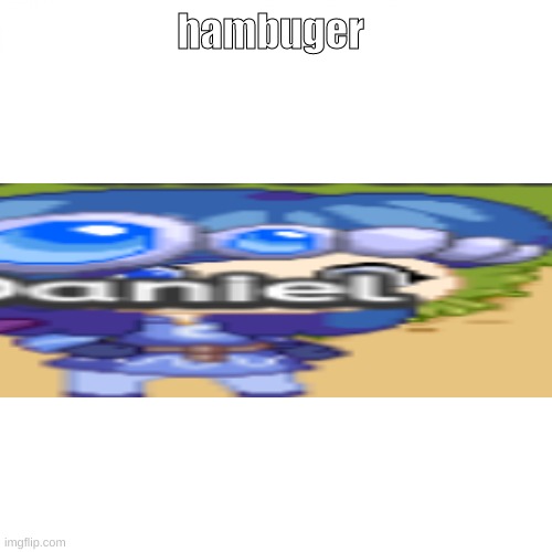 Blank White Template | hambuger | image tagged in blank white template | made w/ Imgflip meme maker
