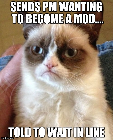 Grumpy Cat Meme | SENDS PM WANTING TO BECOME A MOD.... TOLD TO WAIT IN LINE | image tagged in memes,grumpy cat | made w/ Imgflip meme maker