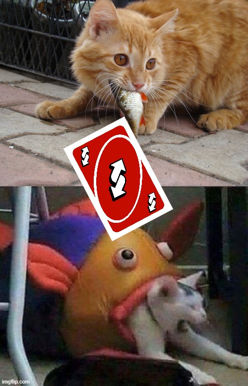 uno reverse card | image tagged in memes | made w/ Imgflip meme maker