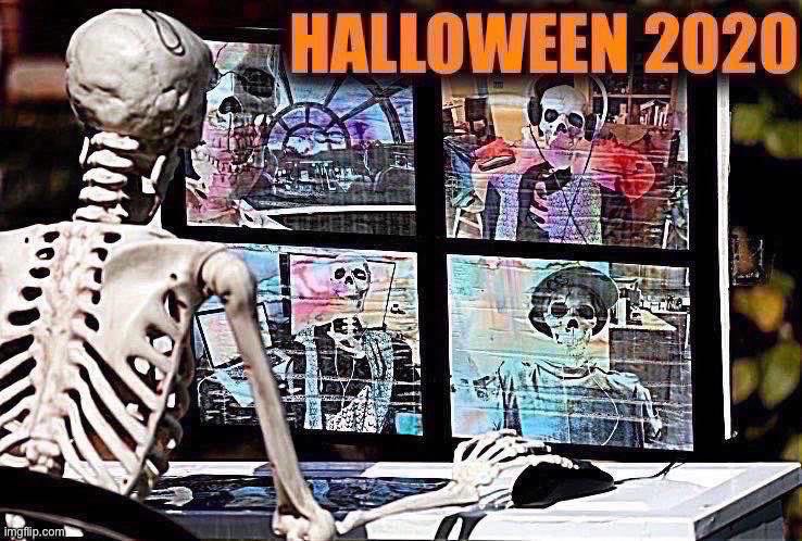 Halloween 2020 | image tagged in happy halloween,2020 sucks,halloween,skeletons,2020,zoom | made w/ Imgflip meme maker