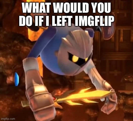 WHAT WOULD YOU DO IF I LEFT IMGFLIP | made w/ Imgflip meme maker