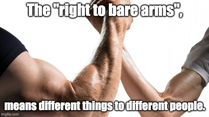 The Right to Bare/Bear Arms | The "right to bare arms", means different things to different people. | image tagged in 2nd amendment,nra,constitution,second amendment,guns,gun laws | made w/ Imgflip meme maker