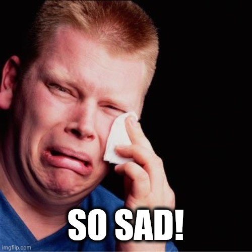 Crying boy | SO SAD! | image tagged in crying boy | made w/ Imgflip meme maker