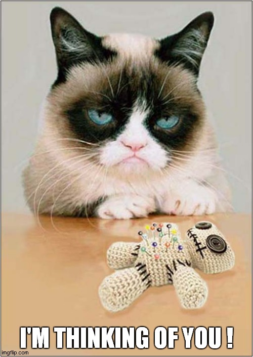 Grumpys 'Kind' Thought | I'M THINKING OF YOU ! | image tagged in cats,grumpy cat,voodoo doll | made w/ Imgflip meme maker