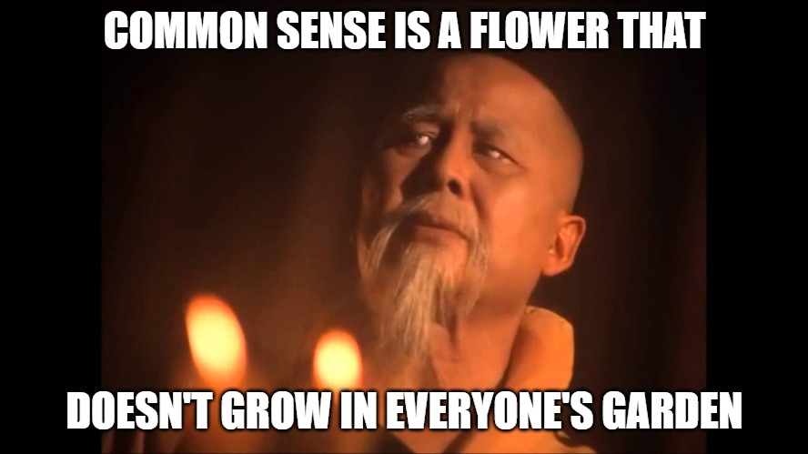 Common Sense |  COMMON SENSE IS A FLOWER THAT; DOESN'T GROW IN EVERYONE'S GARDEN | image tagged in common sense,dumb | made w/ Imgflip meme maker