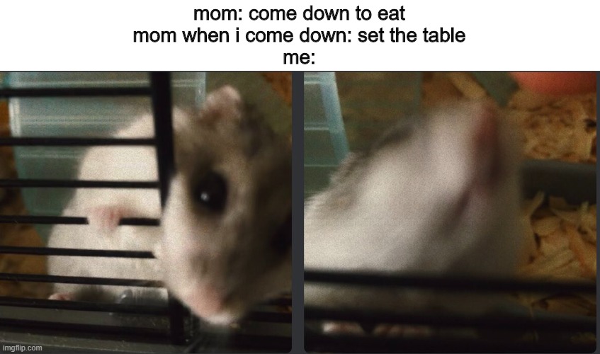 when mom calls down to eat | mom: come down to eat
mom when i come down: set the table
me: | image tagged in grinning hamster | made w/ Imgflip meme maker