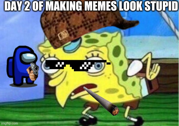 New meme series | DAY 2 OF MAKING MEMES LOOK STUPID | image tagged in memes | made w/ Imgflip meme maker