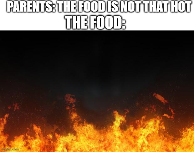 fire | PARENTS: THE FOOD IS NOT THAT HOT; THE FOOD: | image tagged in fire,memes | made w/ Imgflip meme maker