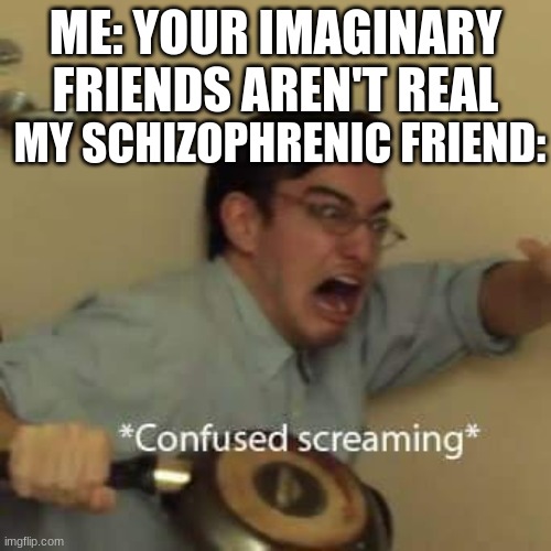 filthy frank confused scream | ME: YOUR IMAGINARY FRIENDS AREN'T REAL; MY SCHIZOPHRENIC FRIEND: | image tagged in filthy frank confused scream | made w/ Imgflip meme maker