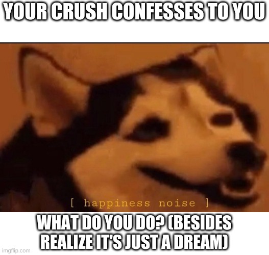 Let's be honest, we all know you're just dreaming | YOUR CRUSH CONFESSES TO YOU; WHAT DO YOU DO? (BESIDES REALIZE IT'S JUST A DREAM) | image tagged in happines noise | made w/ Imgflip meme maker