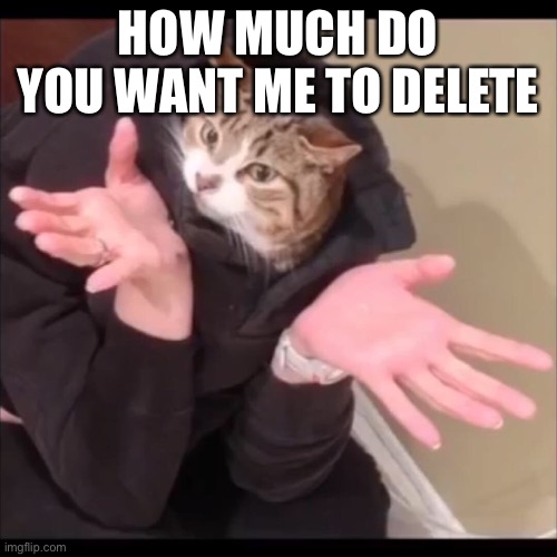 HOW MUCH DO YOU WANT ME TO DELETE | made w/ Imgflip meme maker