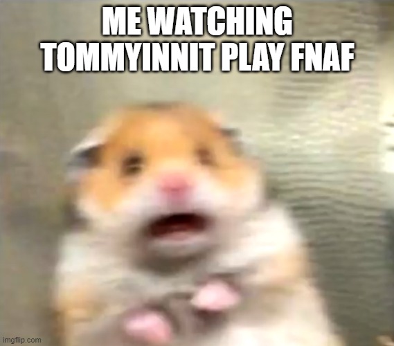 Scared Hamster | ME WATCHING TOMMYINNIT PLAY FNAF | image tagged in scared hamster | made w/ Imgflip meme maker