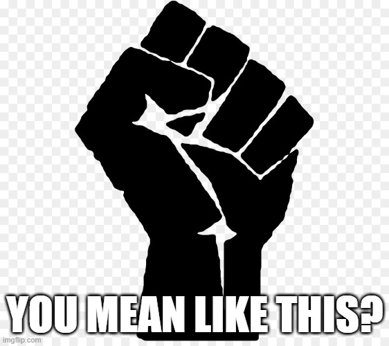 Black Power Fist BLM | YOU MEAN LIKE THIS? | image tagged in black power fist blm | made w/ Imgflip meme maker