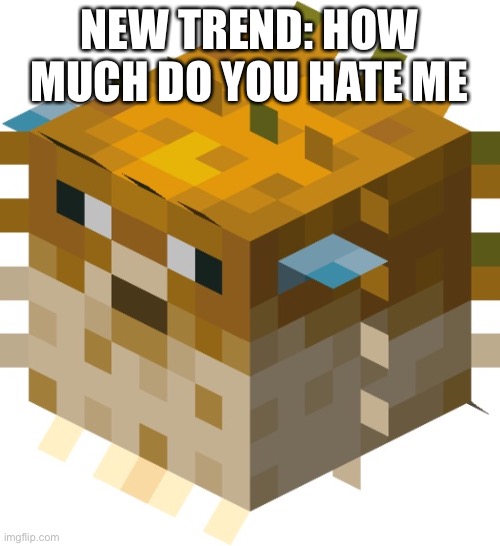 NEW TREND: HOW MUCH DO YOU HATE ME | made w/ Imgflip meme maker