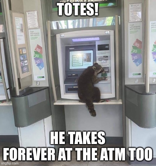 TOTES! HE TAKES FOREVER AT THE ATM TOO | made w/ Imgflip meme maker