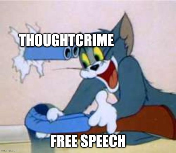 tom the cat shooting himself  | THOUGHTCRIME; FREE SPEECH | image tagged in tom the cat shooting himself | made w/ Imgflip meme maker