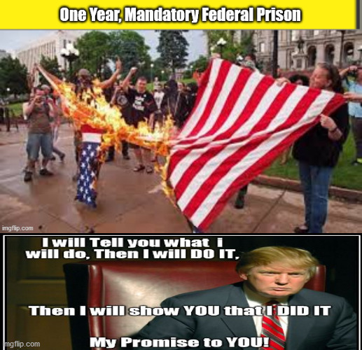 Burn a Flag, One year mandatory federal prison | image tagged in marxism,antifa,liberalism,malcontents,head exploding | made w/ Imgflip meme maker