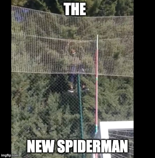 NEW Spiderman | THE; NEW SPIDERMAN | image tagged in spiderman,marvel,funny memes | made w/ Imgflip meme maker