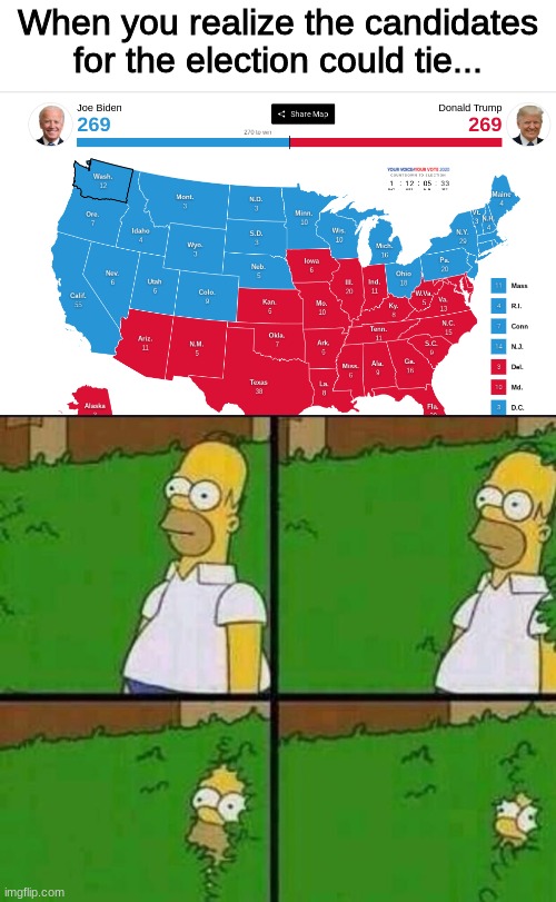 I have to admit, this would be fun to see | When you realize the candidates for the election could tie... | image tagged in homer simpson in bush - large | made w/ Imgflip meme maker