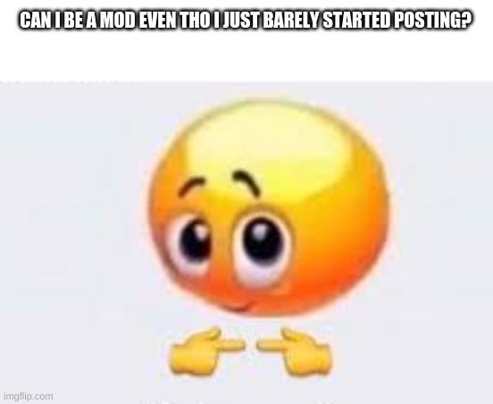 Please? | CAN I BE A MOD EVEN THO I JUST BARELY STARTED POSTING? | image tagged in mod begging | made w/ Imgflip meme maker