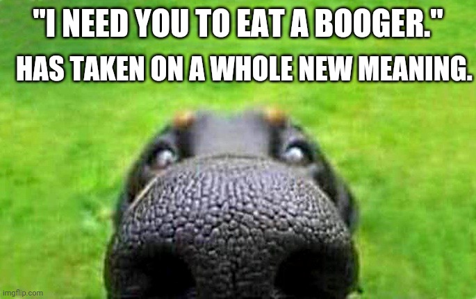 upvote | "I NEED YOU TO EAT A BOOGER." HAS TAKEN ON A WHOLE NEW MEANING. | image tagged in upvote | made w/ Imgflip meme maker