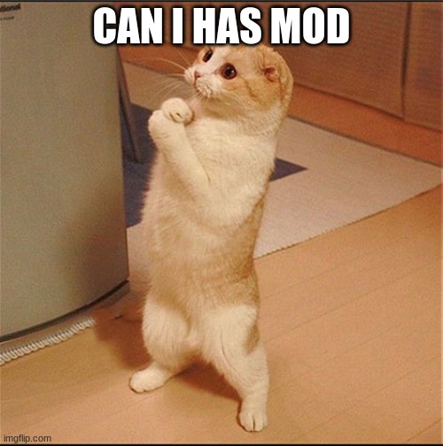 seems like all you have to do is post once | CAN I HAS MOD | image tagged in can i has food | made w/ Imgflip meme maker