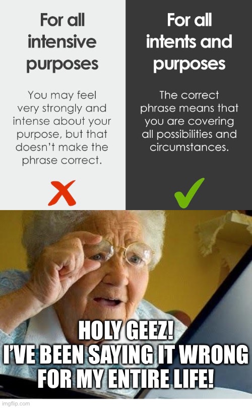 Intensive Embarrassment | HOLY GEEZ!
I’VE BEEN SAYING IT WRONG FOR MY ENTIRE LIFE! | image tagged in old lady at computer,funny memes | made w/ Imgflip meme maker