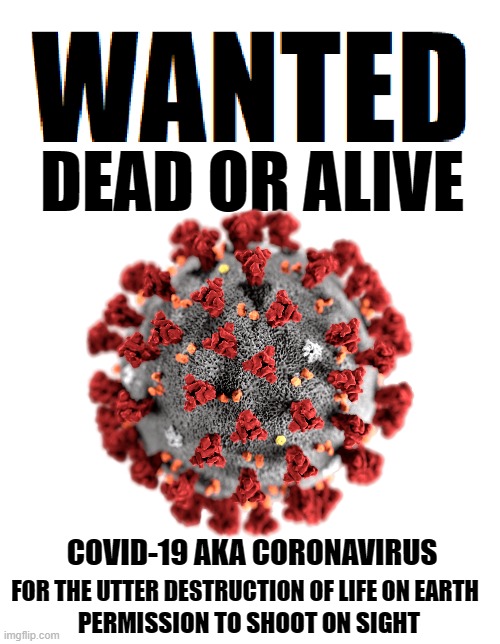 The World's Most Wanted | COVID-19 AKA CORONAVIRUS; FOR THE UTTER DESTRUCTION OF LIFE ON EARTH; PERMISSION TO SHOOT ON SIGHT | image tagged in covid-19,wanted dead or alive,coronavirus,memes,serious,not funny | made w/ Imgflip meme maker