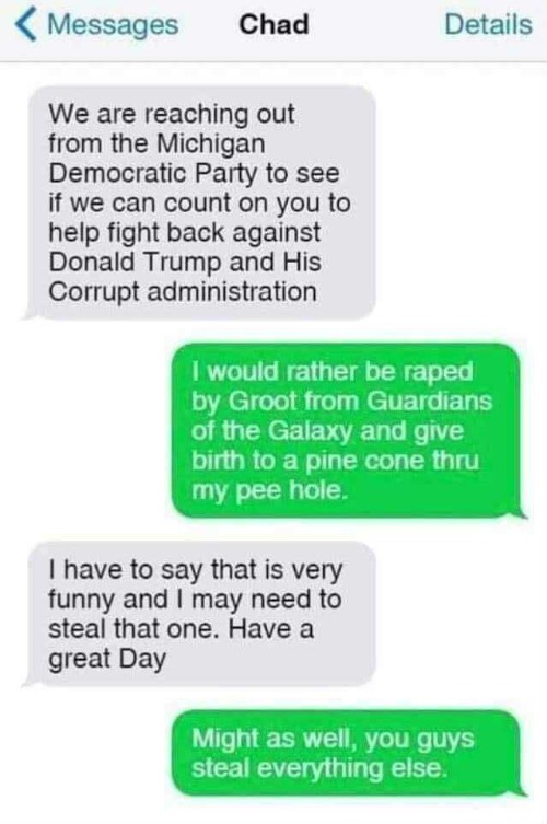 And now this message from the Michigan Democrat Party... | image tagged in michigan,democrat party | made w/ Imgflip meme maker